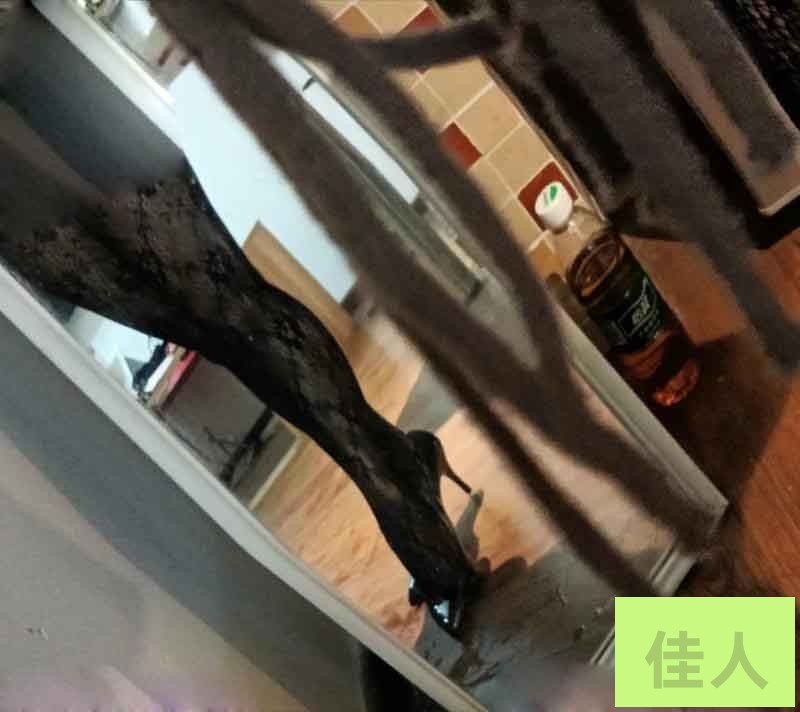205004i2yczclmhkmz2pm8.jpg