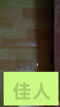 065902rnul8iv3lnn6pctc.jpg