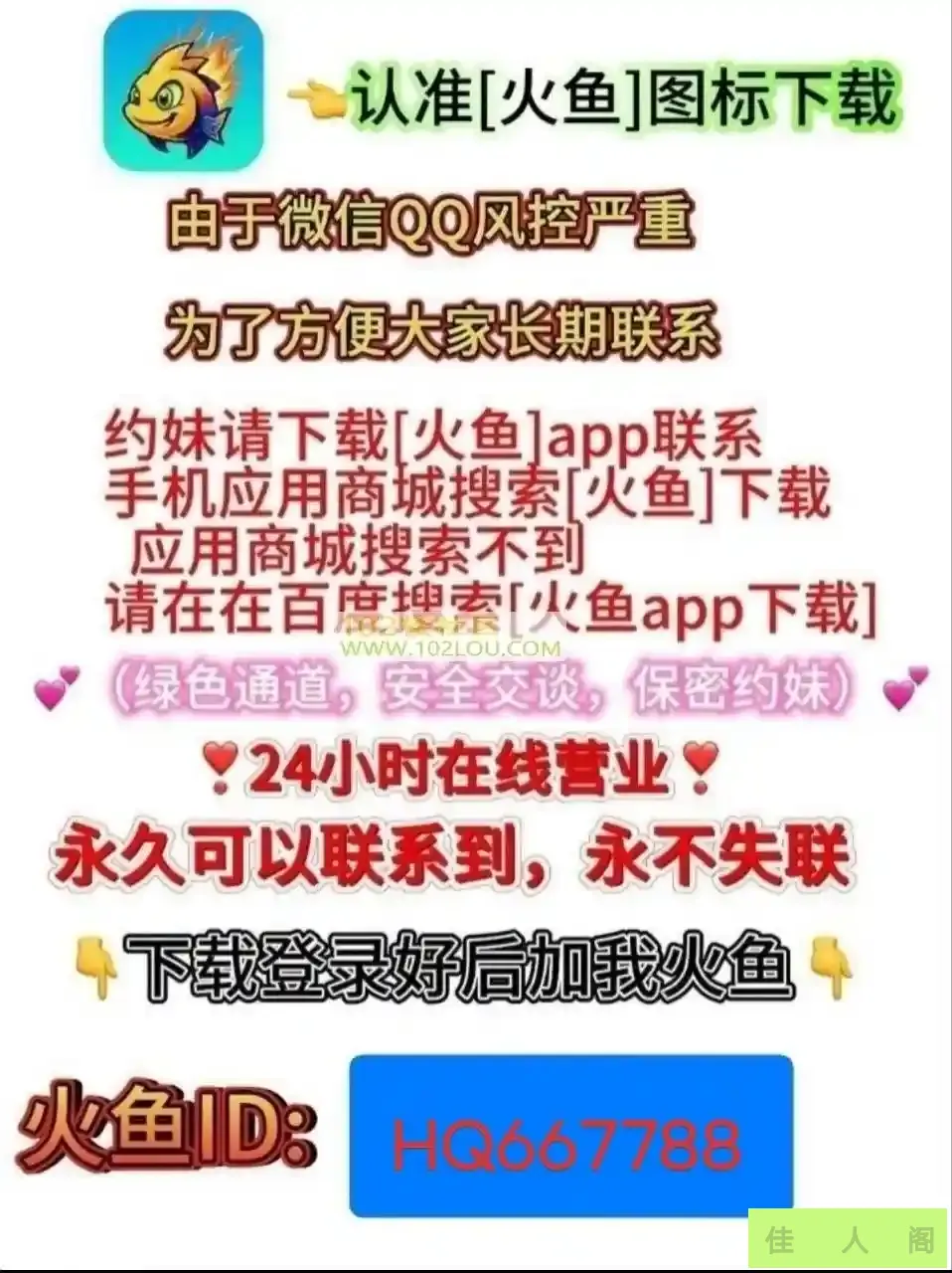 4.webp