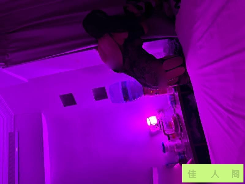 173005sk01n0g1i81hx818.jpeg