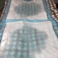 合肥龙凤阁推荐一个愿称之柔情似水籹王性息！